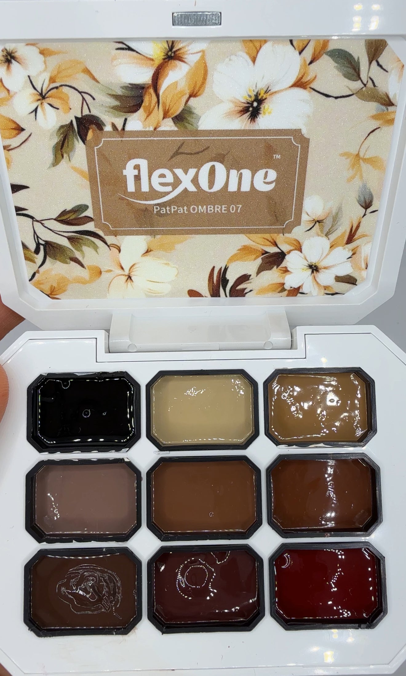 FlexOne Pat Ombre Gel Sets