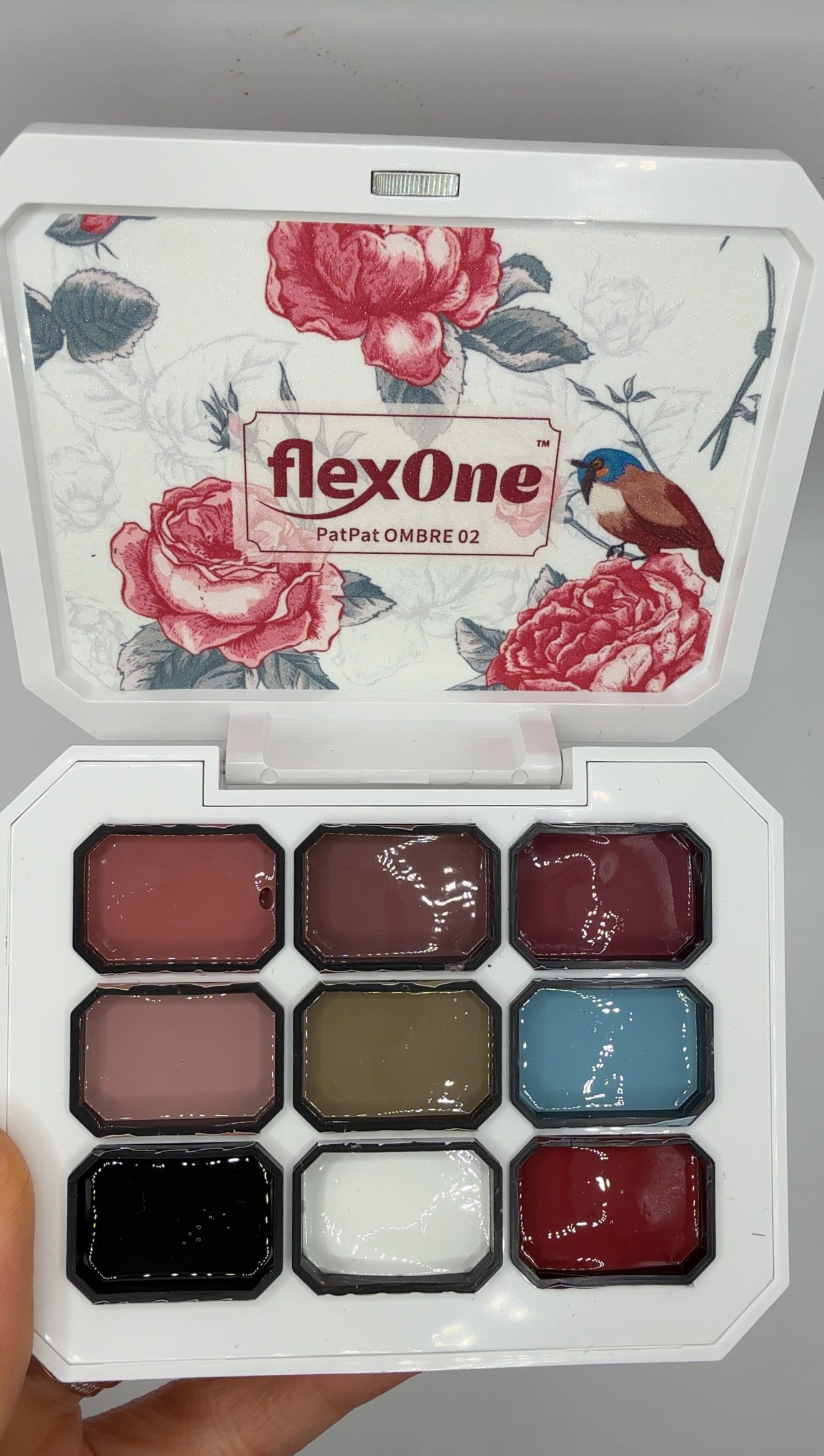 FlexOne Pat Ombre Gel Sets