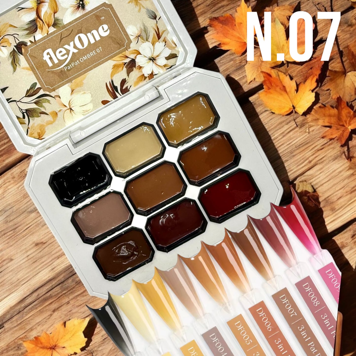 FlexOne Pat Ombre Gel Sets