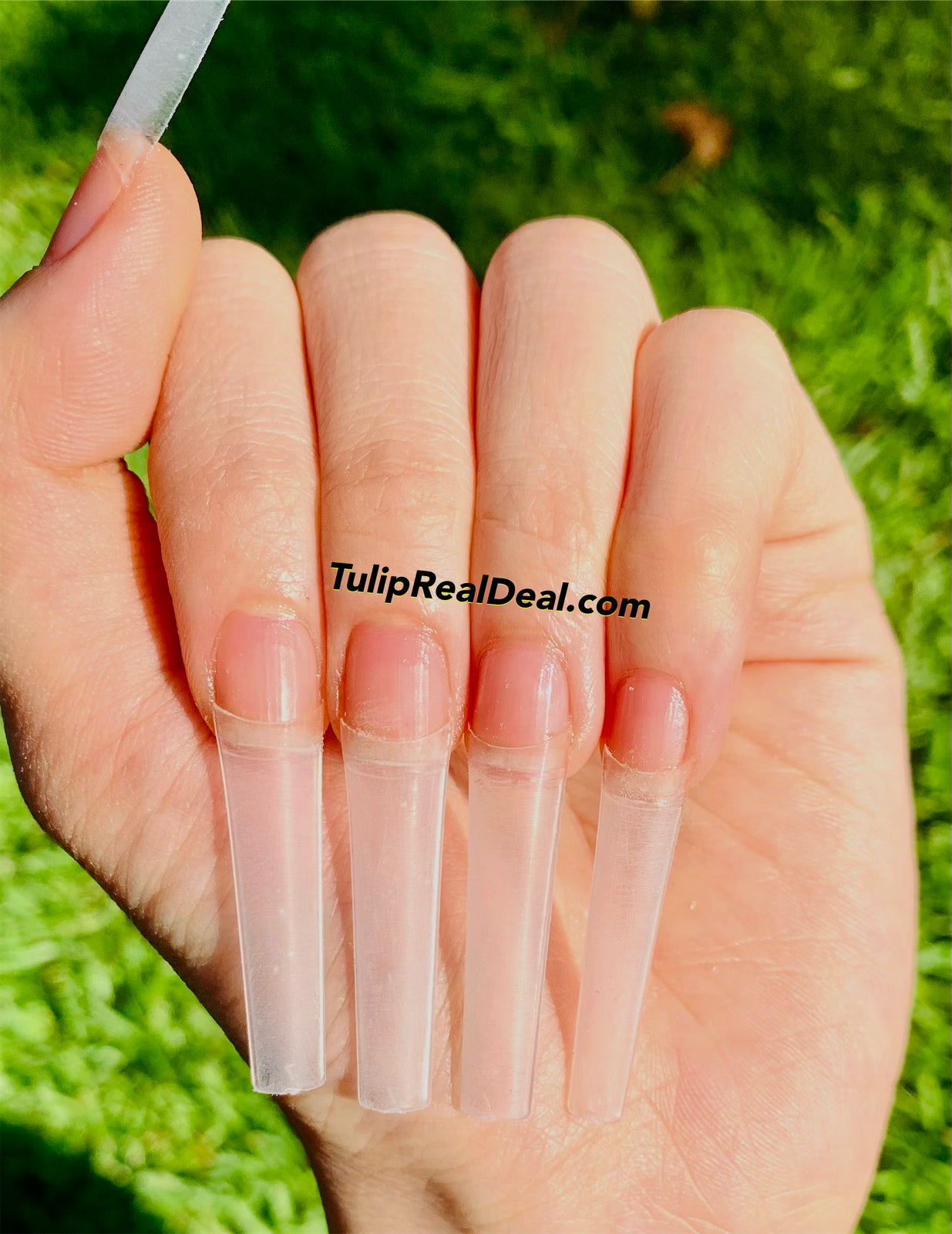 *NEW* XXL Tapered SQUARE Straight NON C-Curve tips