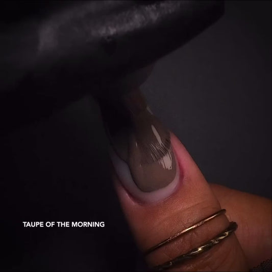 Chaun's Fall Must-Haves BUNDLE