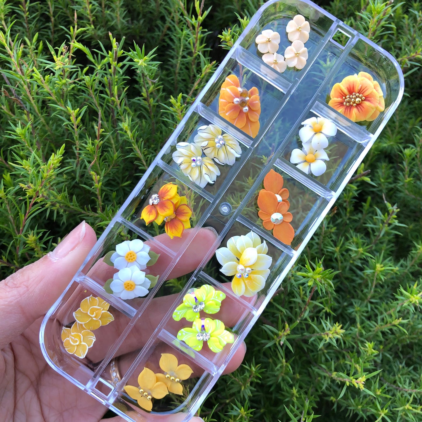 3D Flowers Set