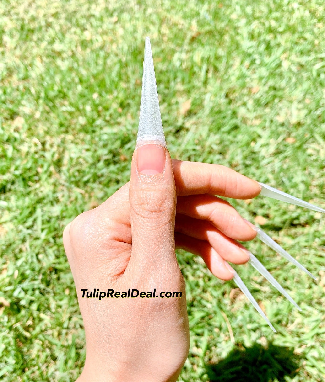 XXL Sharp Stiletto non C-curve straight tips