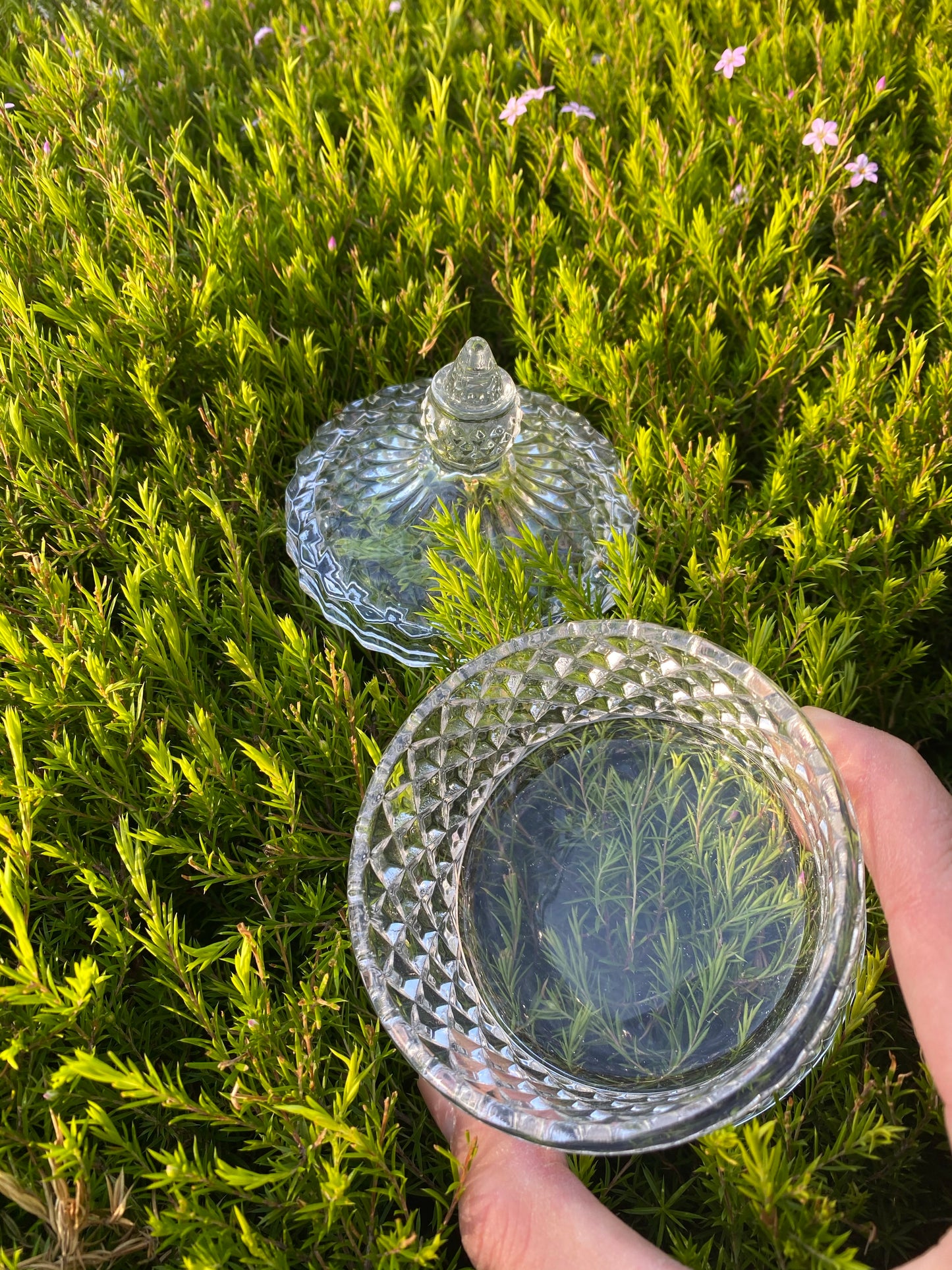 Soda-lime crystal glass dappen dish