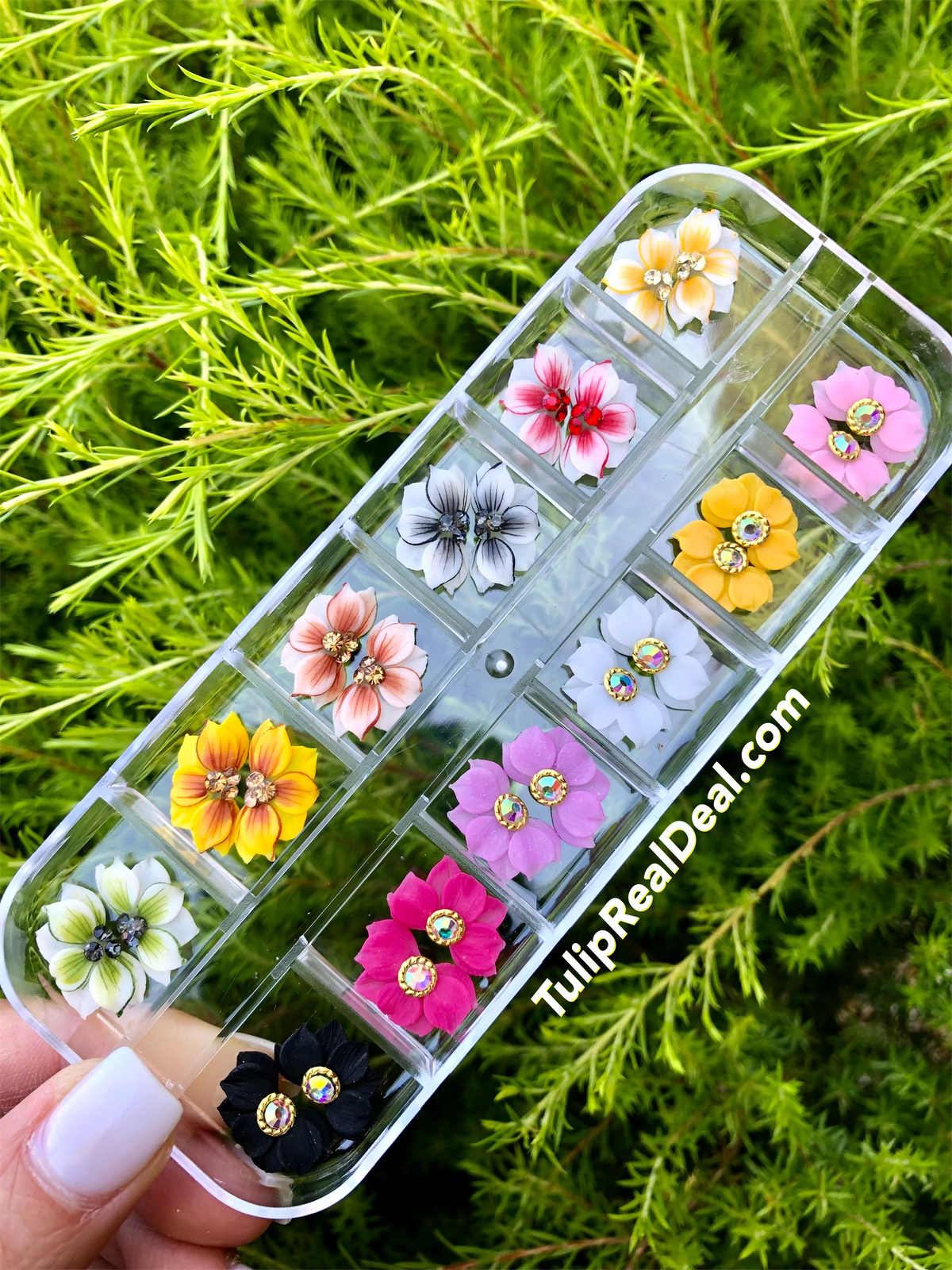 NEW 3D Flowers Set