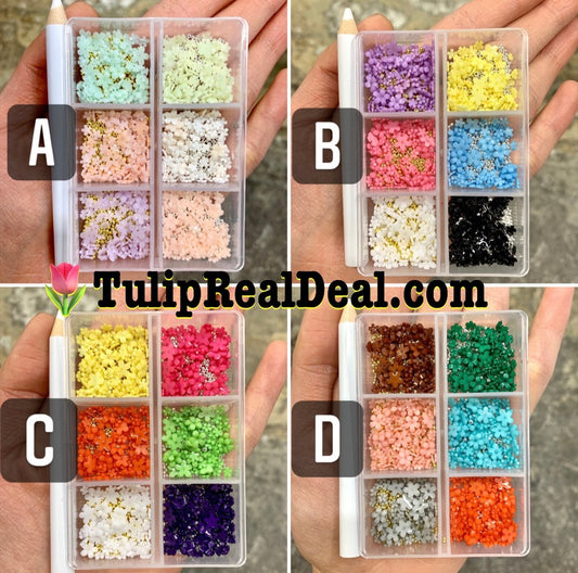 Mini Resin 3D Flowers 6 Colors Box