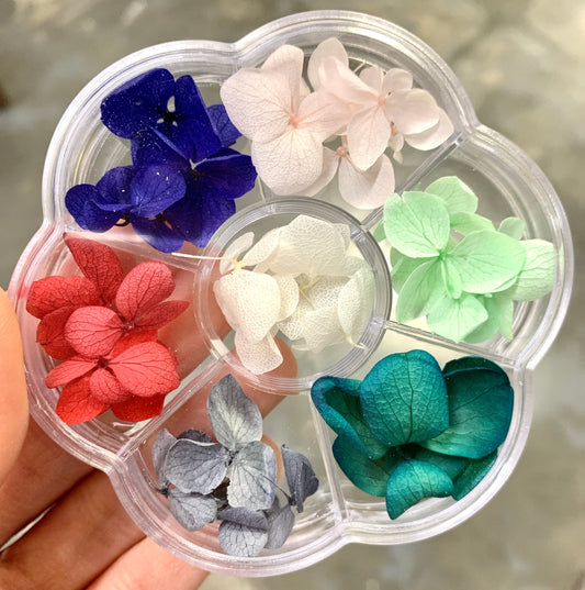 Dried Flowers Large Petals