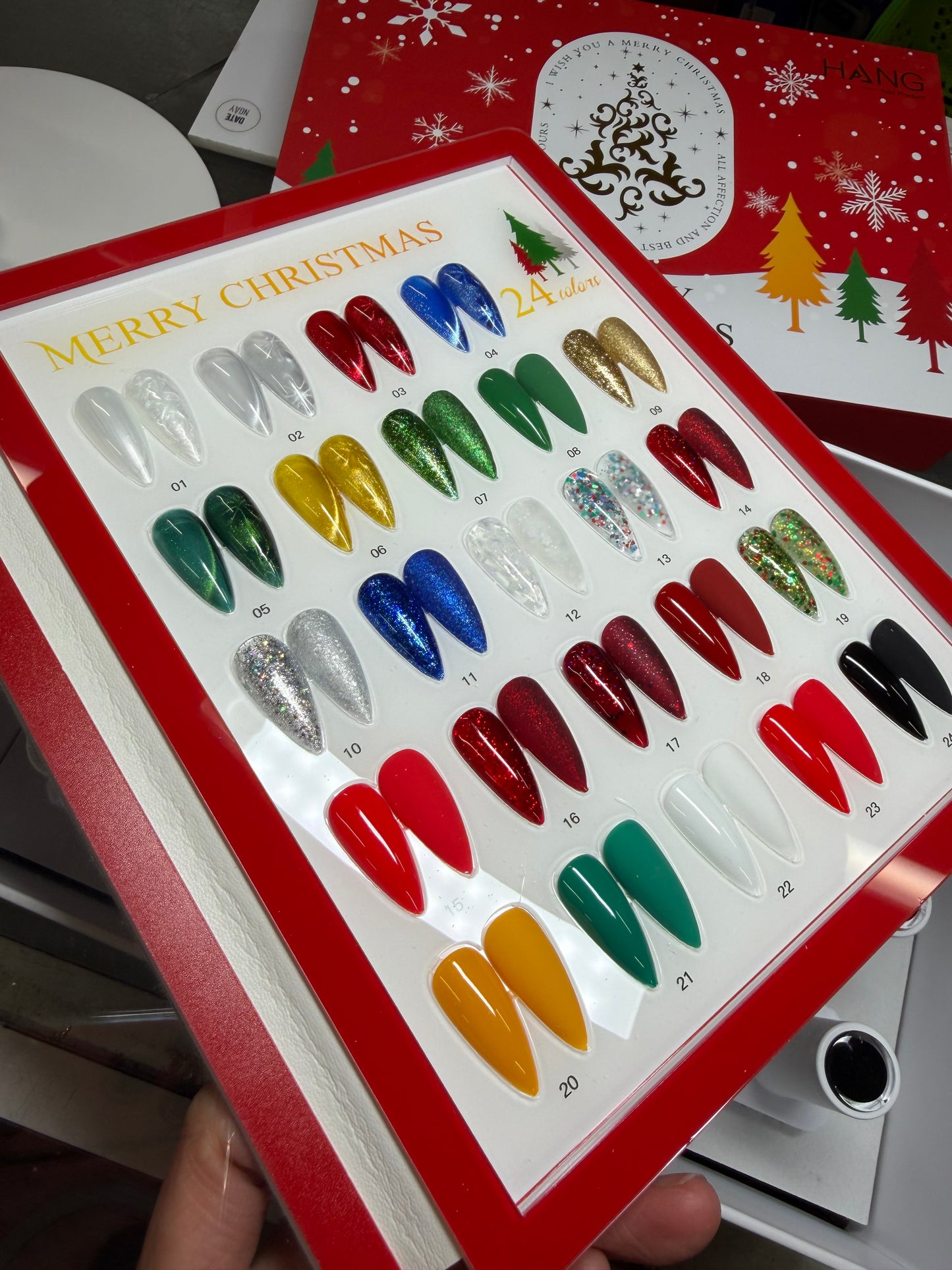 HANG Merry Christmas Gel Polish collection 24 colors