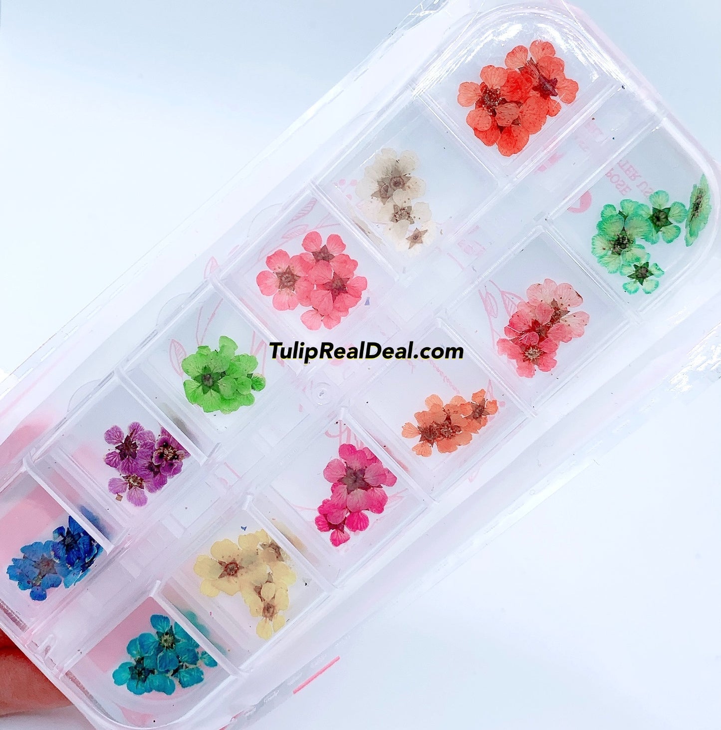 Dried Flowers Tray 72pcs