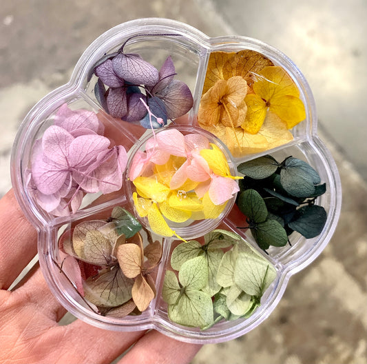 Dried Flowers Large Petals