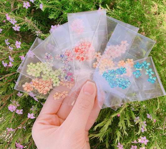 Dried Flowers 24pcs